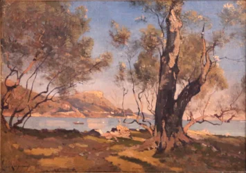 Trees at Beaulieu